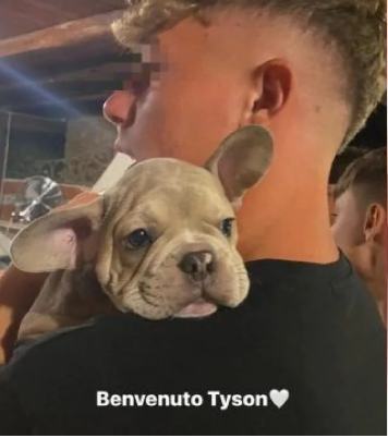 Totti sparito cagnolino Tyson figlio Cristian