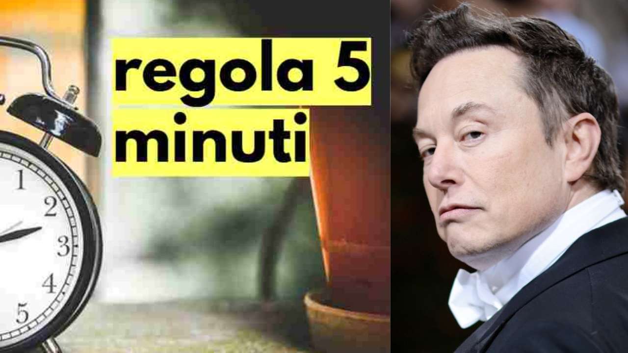 Regola 5 minuti Musk come funziona