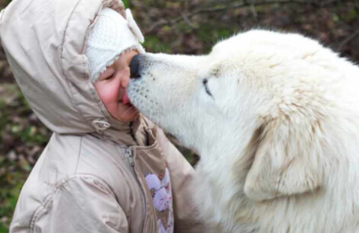 Il gesto del cane affetto