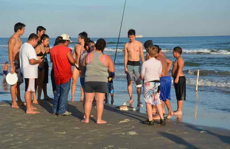 Avvistamento in spiaggia 