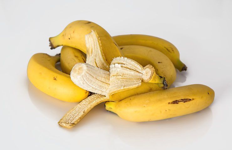 Banana Cavendish, geneticamente modificato