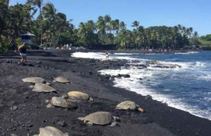 Big Island Hawaii