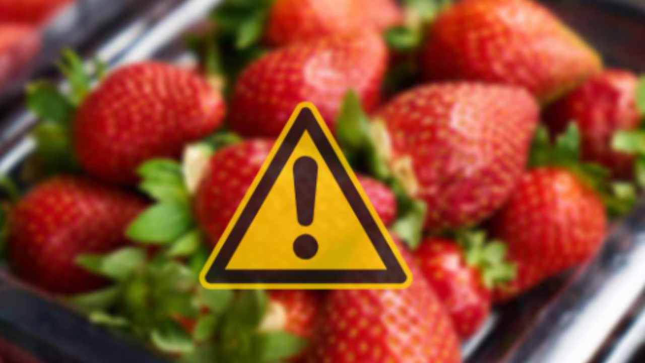 Fragole contaminate