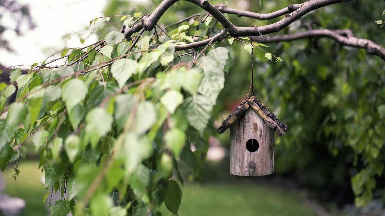 Giardino, multa se infrangi le regole