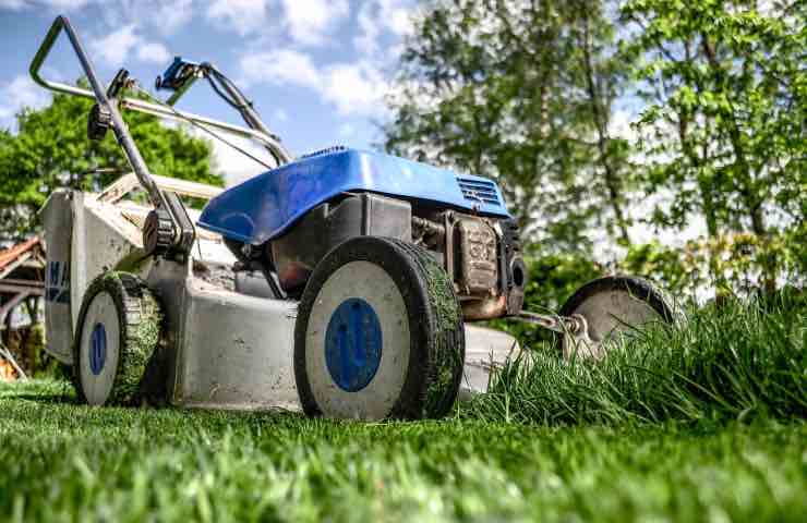 Giardino, multa se infrangi le regole