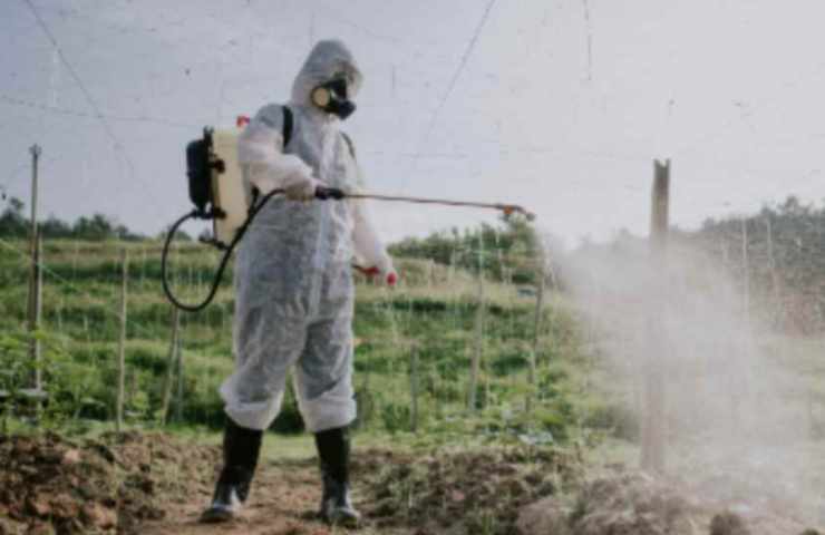Pesticidi sugli ortagg