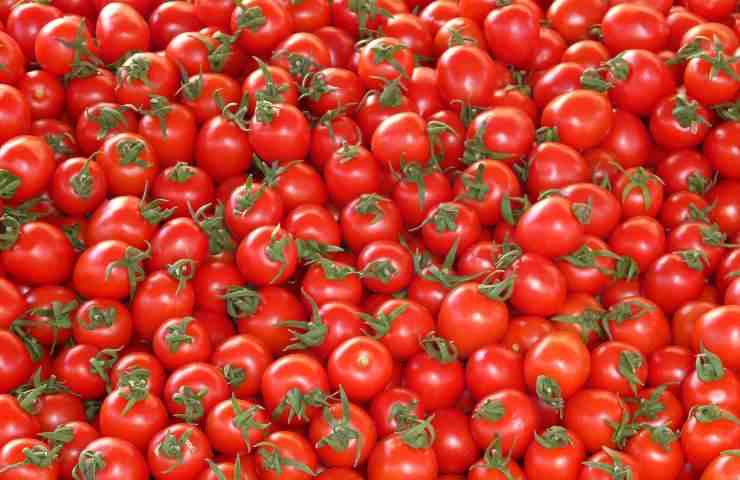 Pomodori raccolti