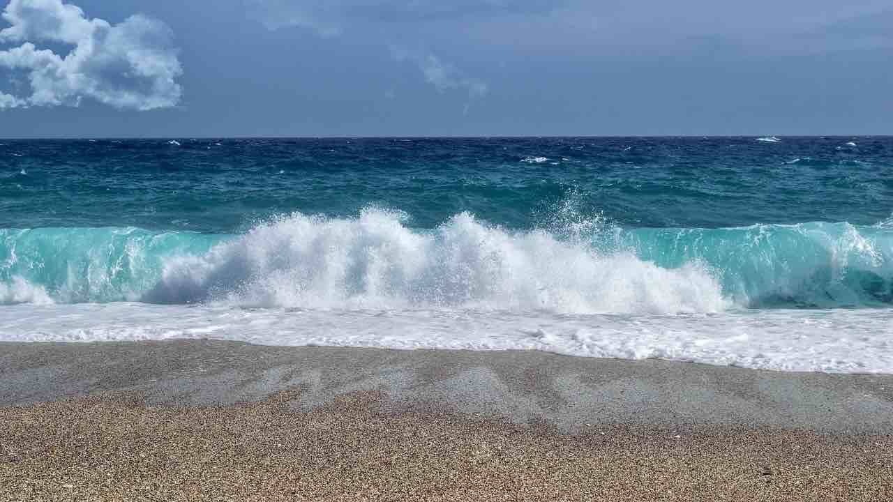 Avvistamento in spiaggia