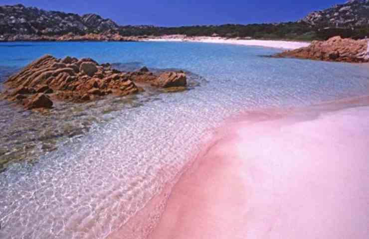 Spiaggia rosa