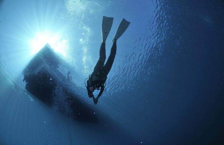 Straordinaria scoperta sul fondo del mare