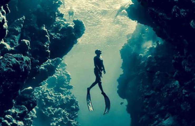 Straordinaria scoperta sul fondo del mare